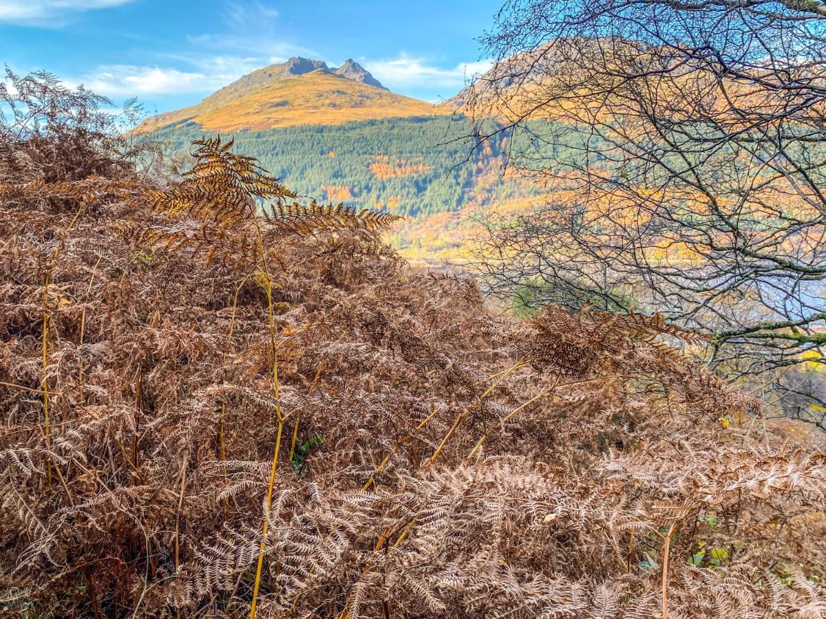 An Còrr, Arrochar Bed and Breakfast Esterno foto